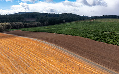 Junction City, Oregon - Paper Shredding & ITAD Services