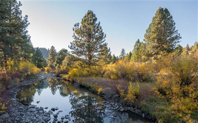 Lakeview, Oregon - Paper Shredding & ITAD Services