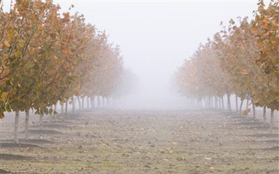 Lebanon, Oregon - Paper Shredding & ITAD Services