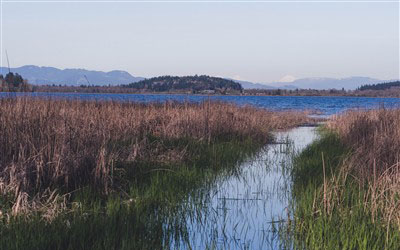 Veneta, Oregon - Paper Shredding & ITAD Services